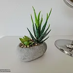 Heimathafen - Horumersiel Apartman Schillig